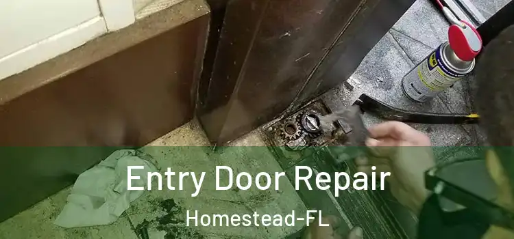  Entry Door Repair Homestead-FL