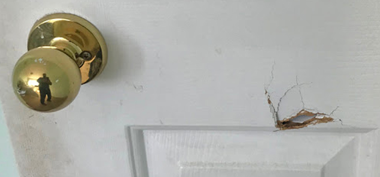 interior door hole repair Homestead