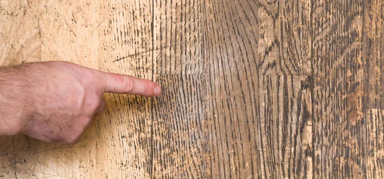 Wood Door Scratch Repair in Homestead