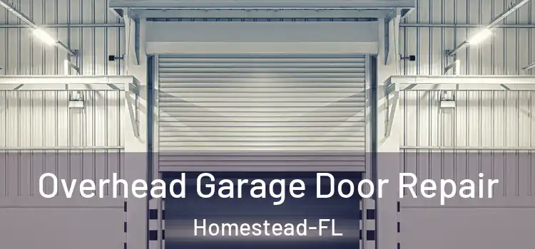  Overhead Garage Door Repair Homestead-FL